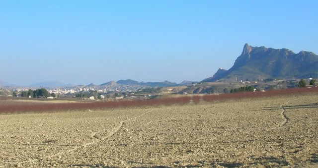  the best guided tours of Cieza 